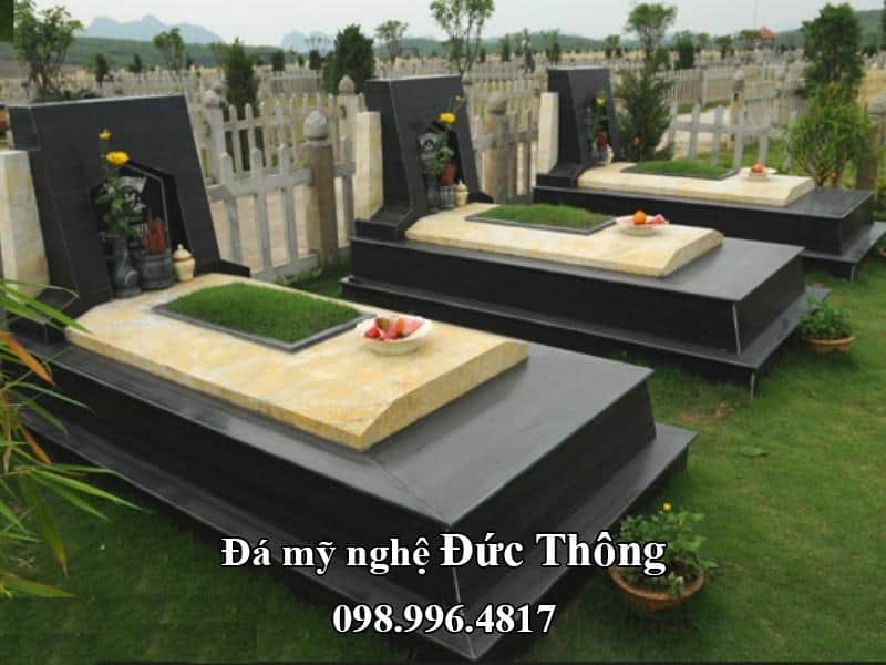 mo-da-hoa-cuong (29)