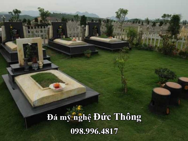 mo-da-hoa-cuong (31)